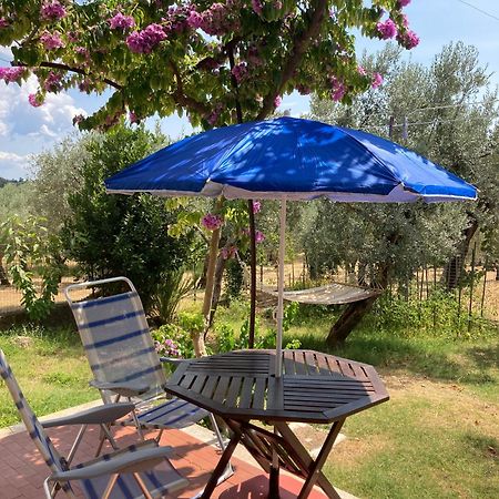 Casa Sisu-Appartamento Immerso Negli Ulivi SantʼElia Fiumerapido Exterior foto
