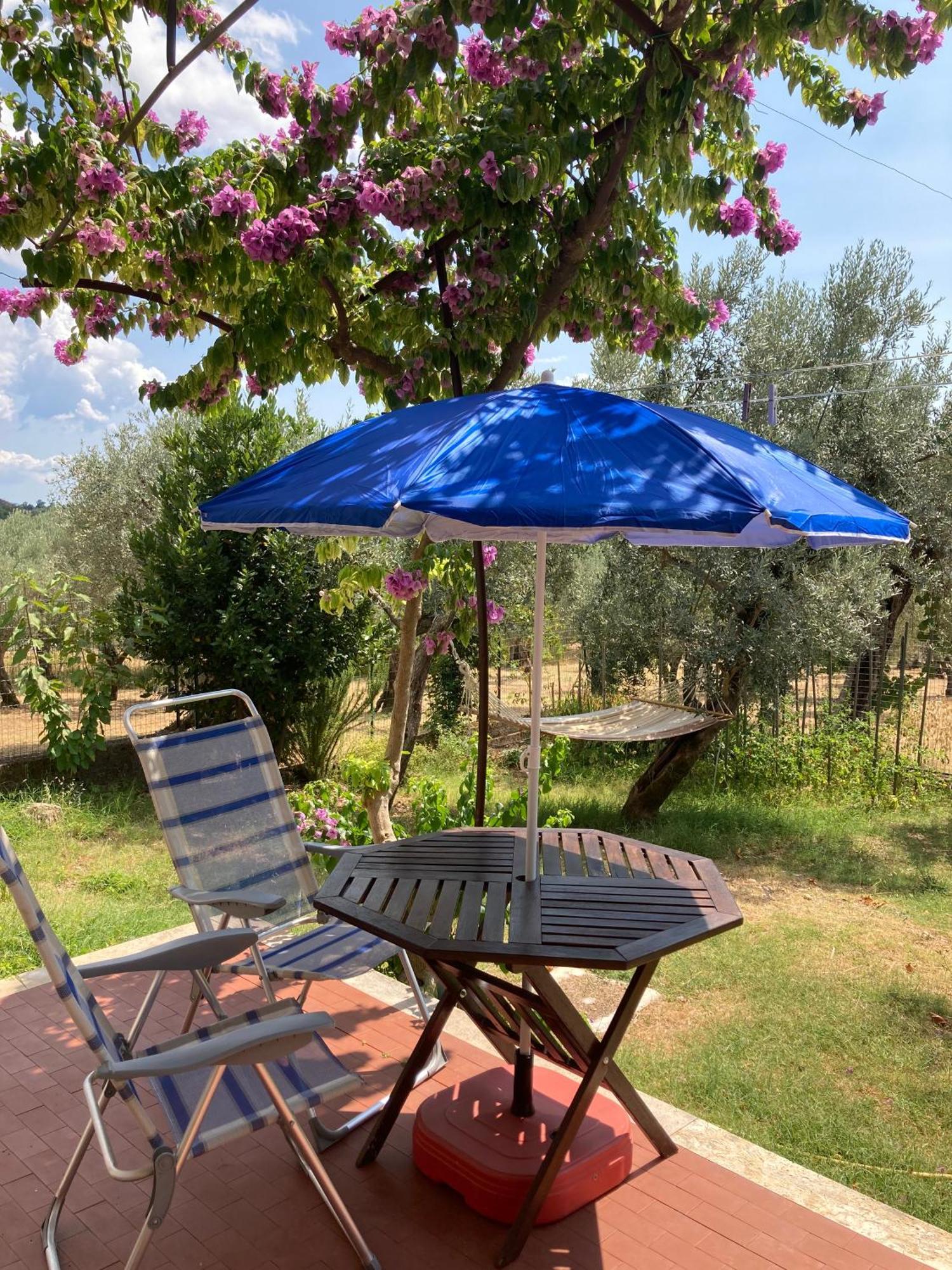 Casa Sisu-Appartamento Immerso Negli Ulivi SantʼElia Fiumerapido Exterior foto